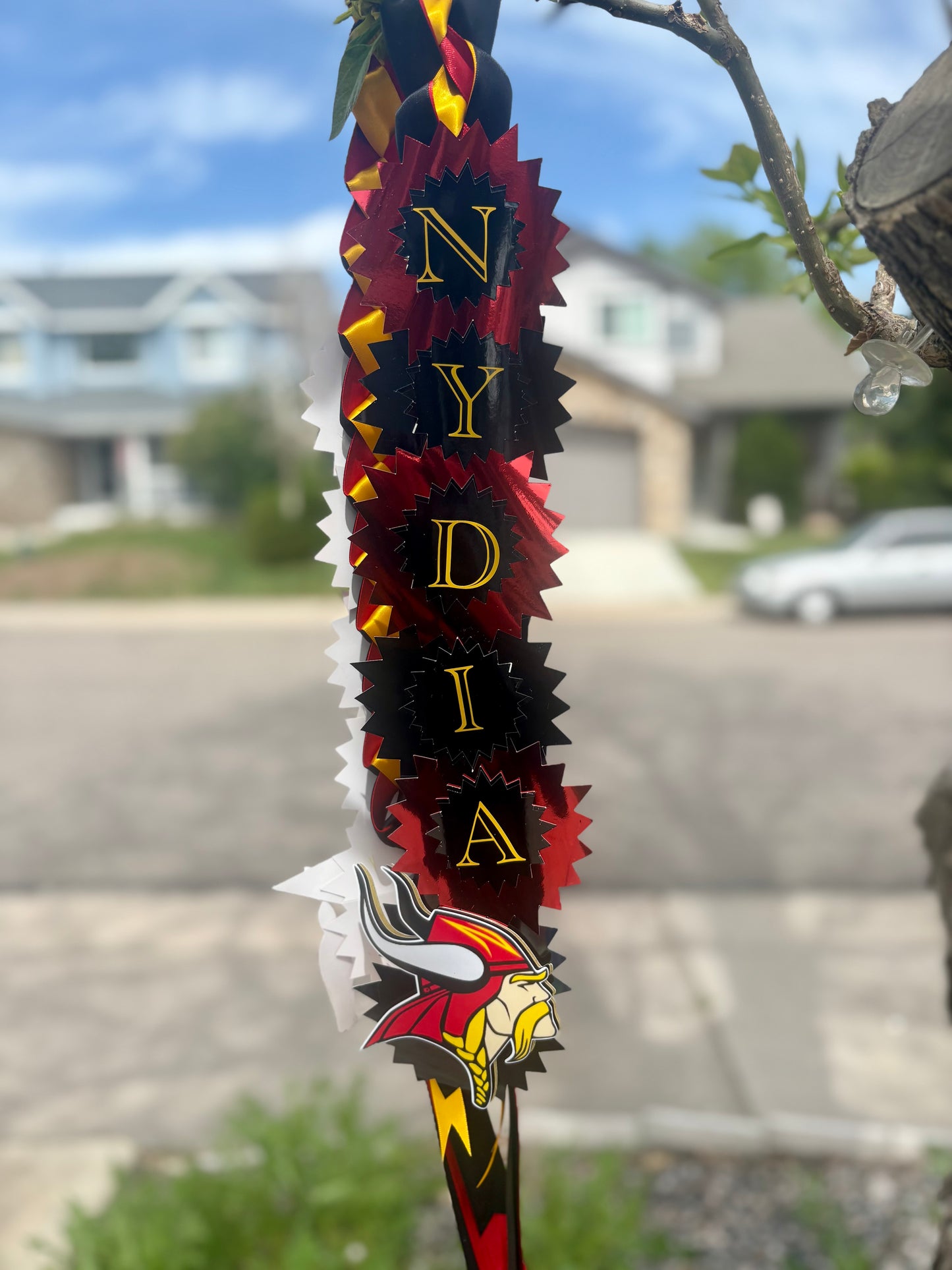Graduation Leis