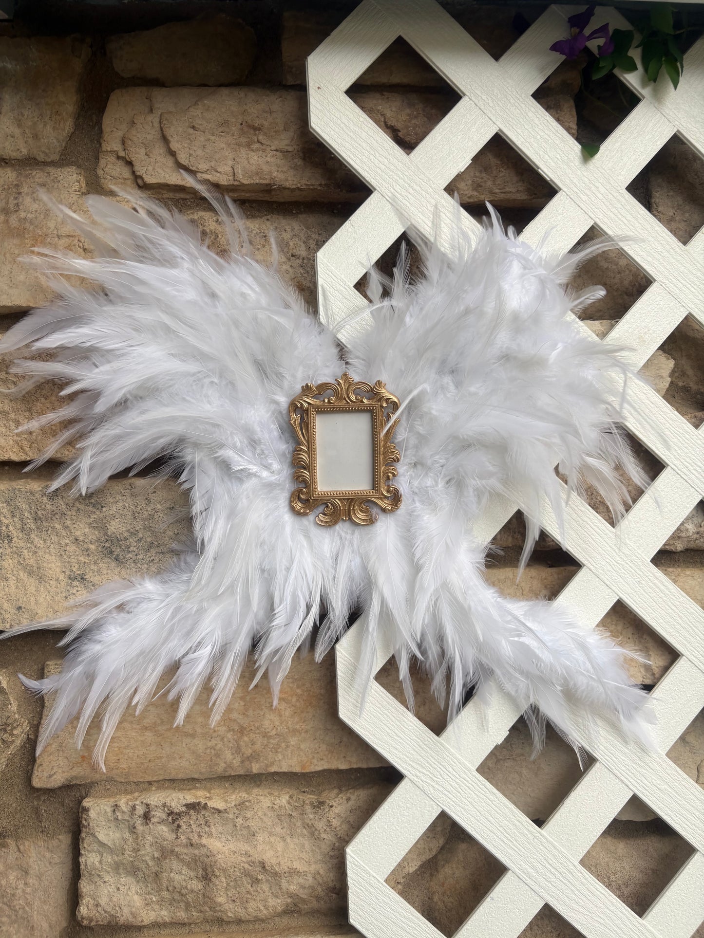Feather Angel Wings